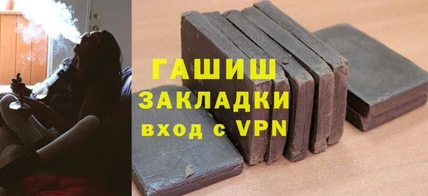 индика Няндома