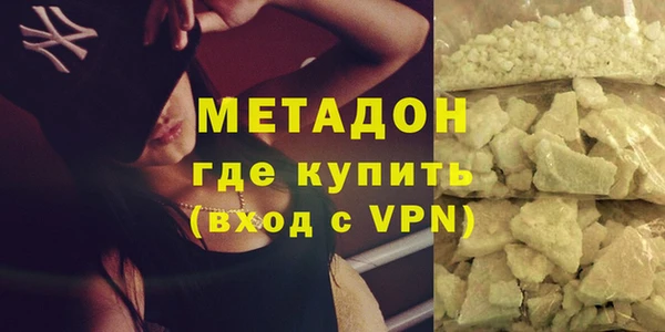 индика Няндома