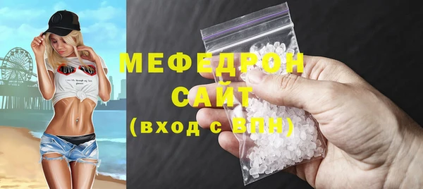 индика Няндома