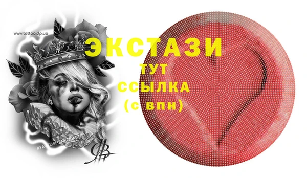 индика Няндома