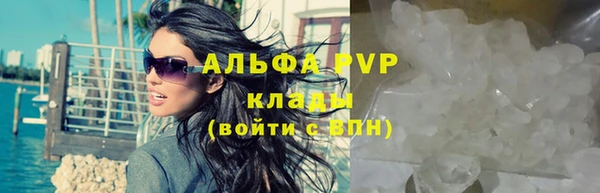 сатива Гвардейск