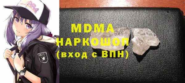 индика Няндома