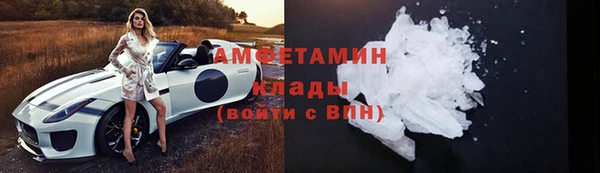 индика Няндома