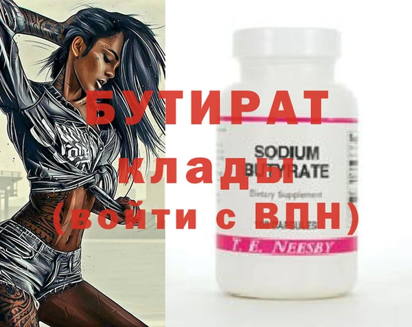 индика Няндома