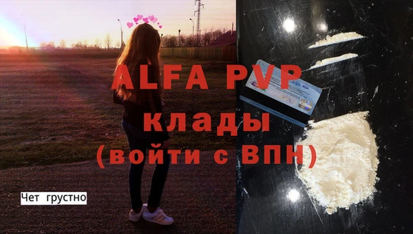 индика Няндома