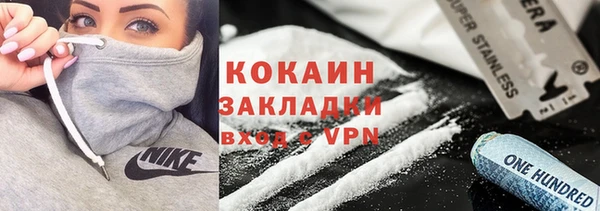 индика Няндома